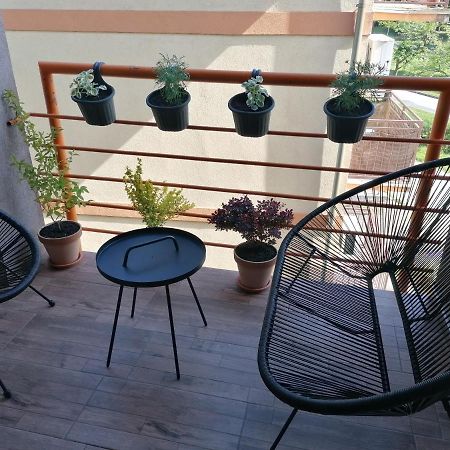 Koko Apartman Vrnjačka Banja Exterior foto